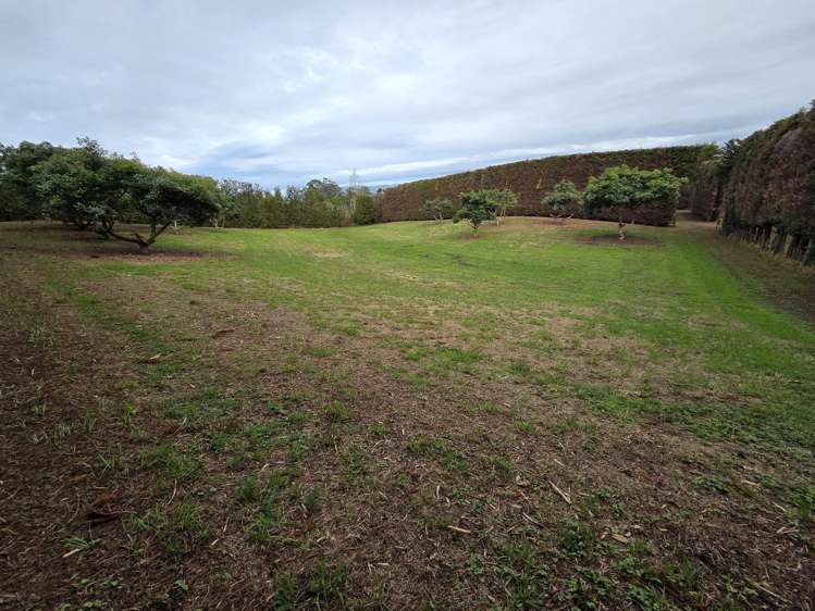 244 Beach Road Katikati_8