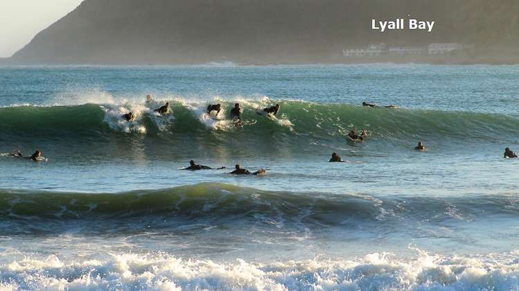 118 Lyall Parade Lyall Bay_19