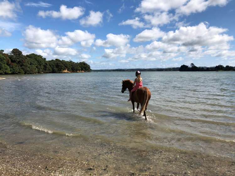 125 Wharf Road Clarks Beach_17