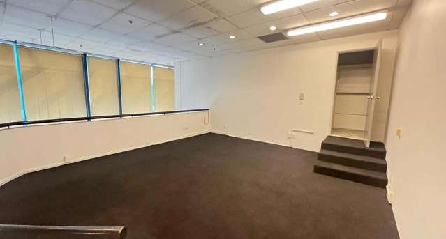 19 Swanson Street Auckland Central_4