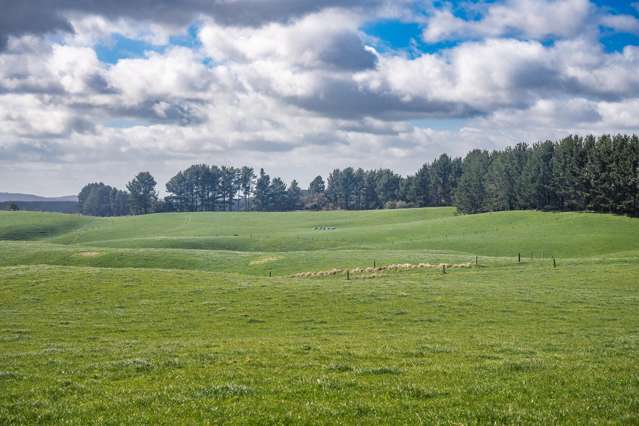 Horticultural Development Opportunity