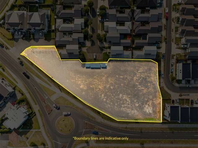 66 Kauri Heart Avenue Takanini_1