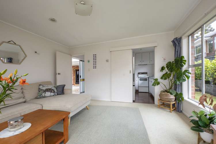 26 Littlejohn Street Hillsborough_16