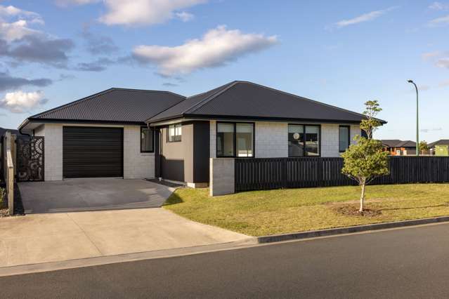 65 Union Drive Papamoa_1