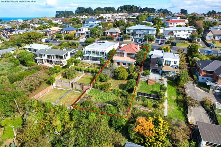 58 Earls Road Saint Clair_24