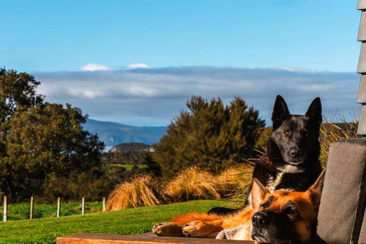 741 Hingarae Road Tihoi_14