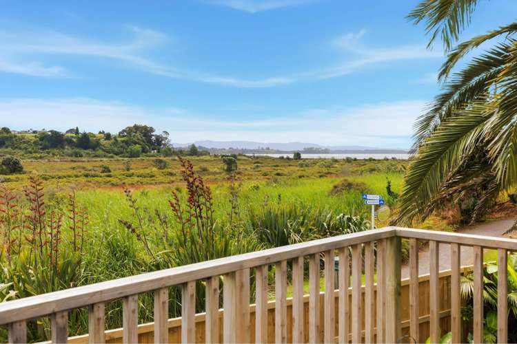 37A Westwood Street Bellevue_10