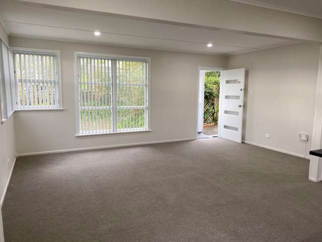 65 Woodglen Road Glen Eden_3