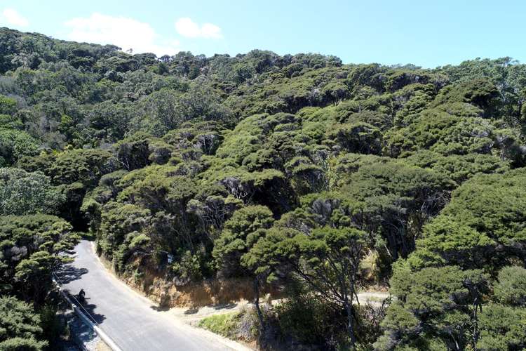 174 Shoal Bay Road Great Barrier Island (Tryphena)_11