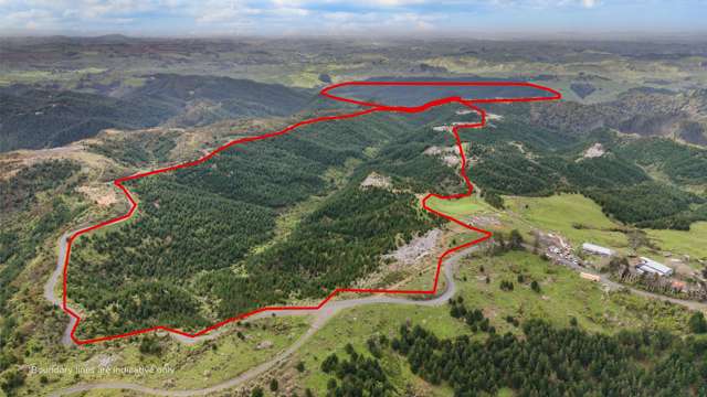 937 Klondyke Road Port Waikato_3