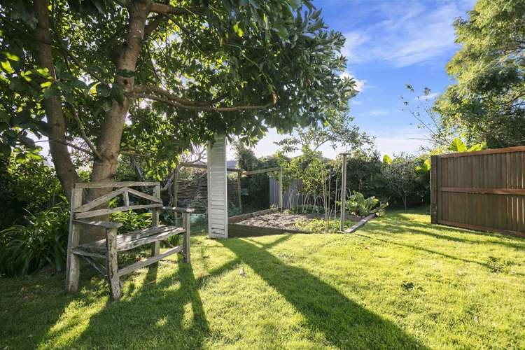 41 Cameron Road Te Puke_24