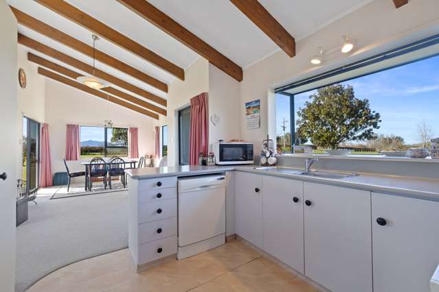 19 Newman Road Morrinsville_3