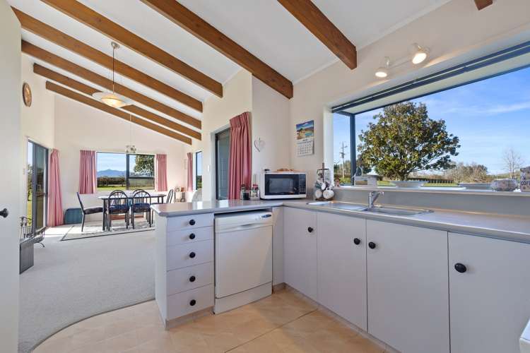 19 Newman Road Morrinsville_3