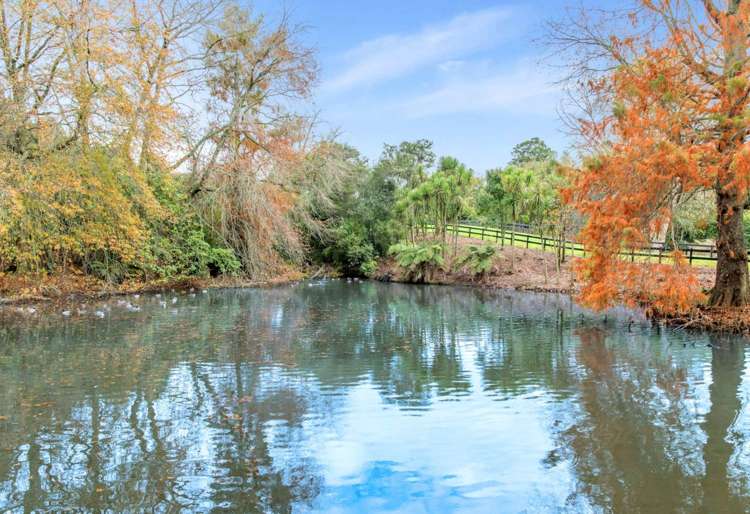 Woodlyn Drive Karaka_10