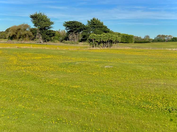 83 Otatara Road Otatara_12