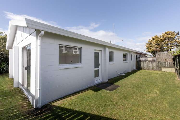 35B Rimu Street Gate Pa_20