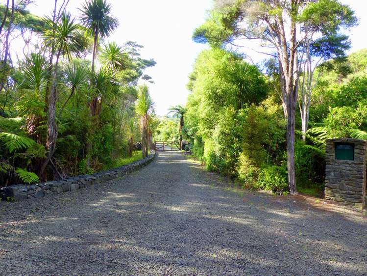 53 Kitewaho Road Swanson_28