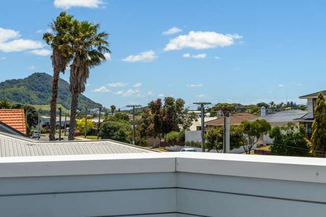 26A Campbell Road Mt Maunganui_4