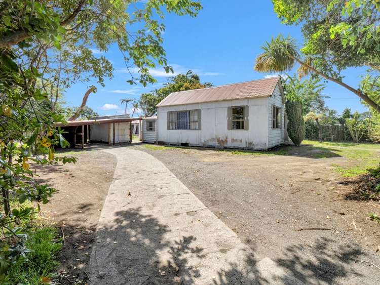 41 Gloag Street Waverley_21