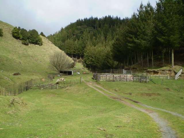 1926 Ongarue Stream Road Waimiha-Ongarue_2