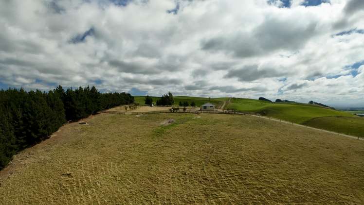 7 Georgetown-Pukeuri Road_3