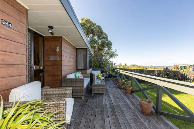 284 Whirinaki Road Eskdale_4