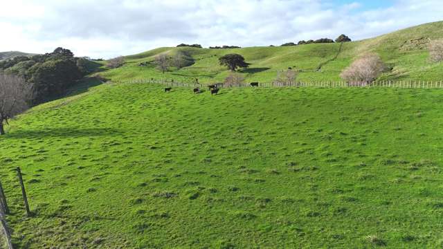 4326 Kaipara Coast Highway Tauhoa_1