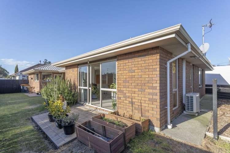 267A Lake Terrace Road Shirley_14