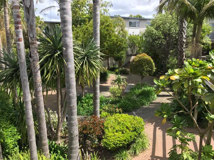 20/72 Kitchener Road Milford_6