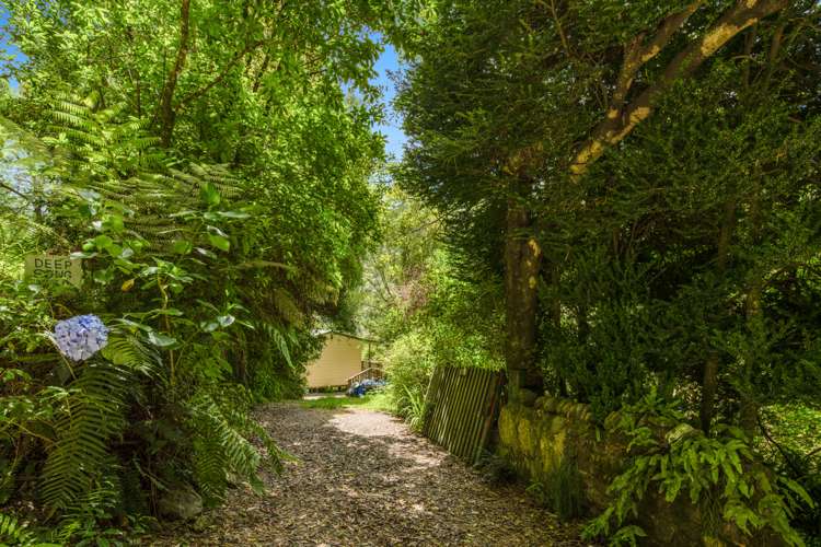 1160 Wakamarina Road Havelock_12