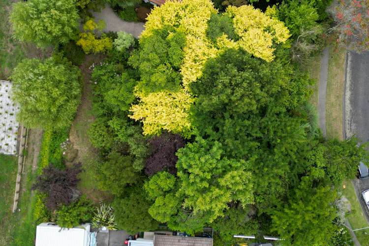 43 Reeve Drive Havelock North_8