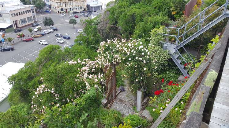 1 Seaview Terrace Bluff Hill_20