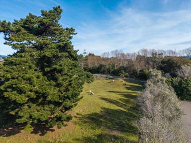 Lot Lots 2, 4, 5, 6/31 End Farm Road_4