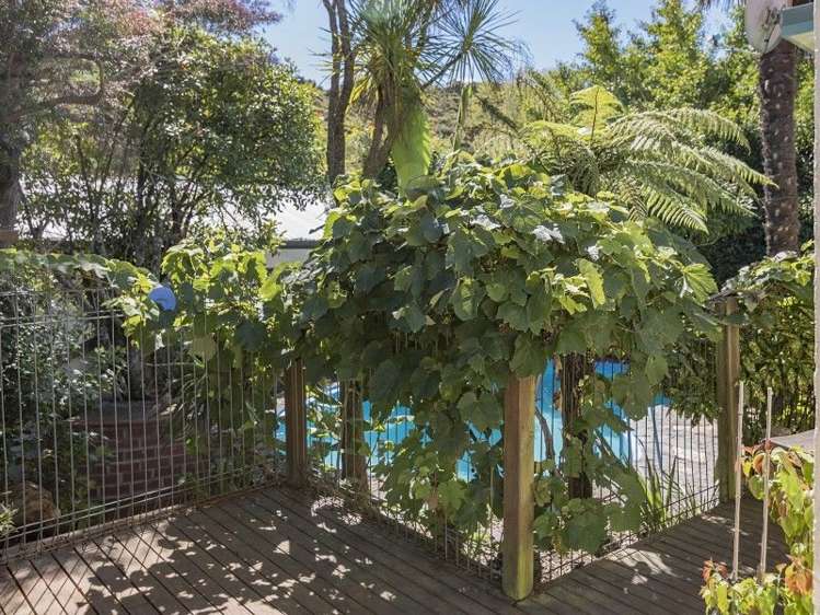 54 Scotia Street Wakatu_15