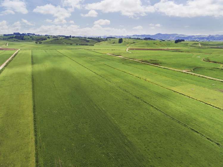 590e Koheroa Road Mangatawhiri_19