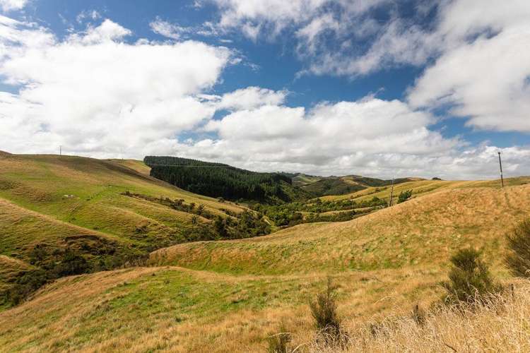 25 Mangamaire Road Dannevirke_14