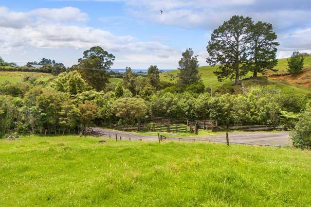 383A Busby Road Katikati_1