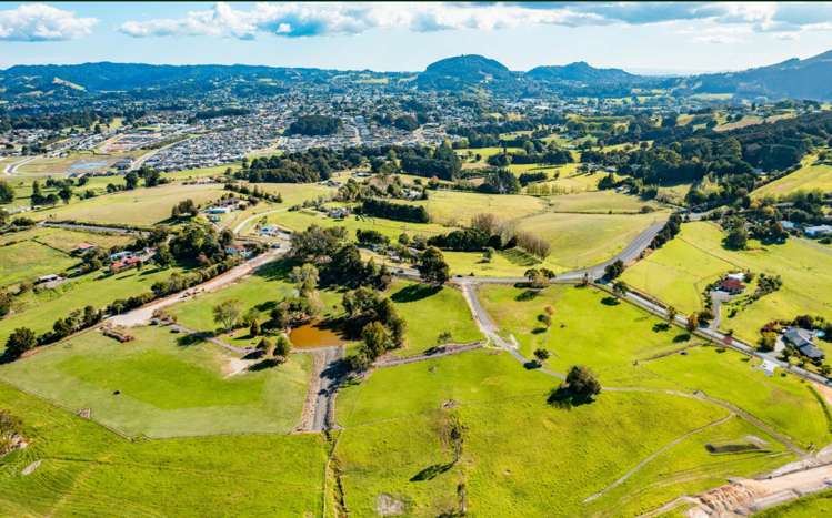 Reynolds Road Pukekohe_9