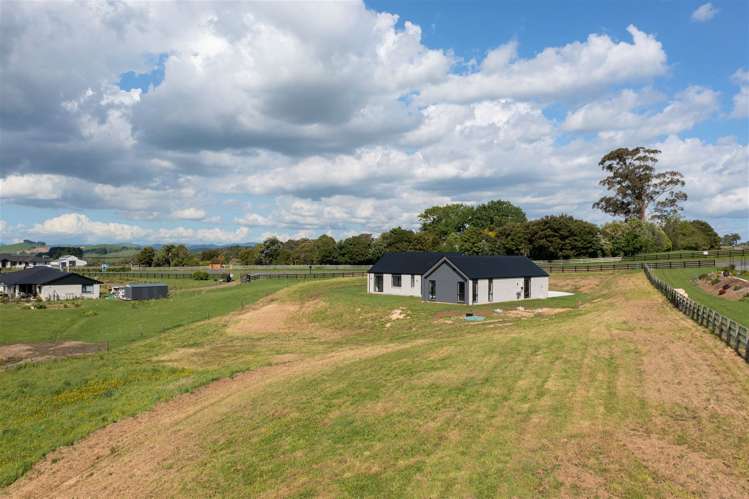 81 Vineyard Road Te Kauwhata_21