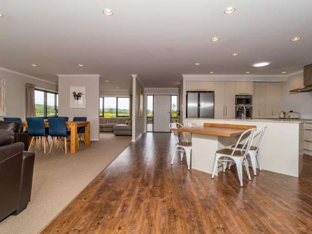 491 Dartmoor Road Puketapu_2