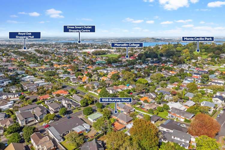 65b Buckley Road Epsom_10