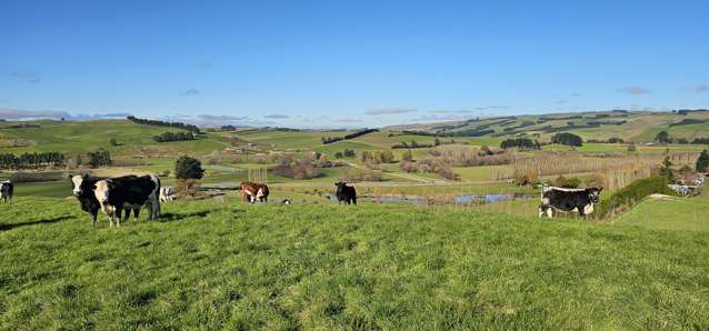 187 Waikaka Valley Highway Willowbank_4