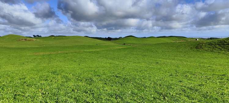 Parihaka Road Pungarehu_16