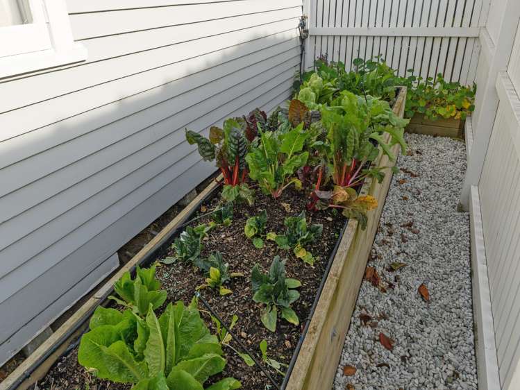 59a Mansels Road Greerton_20