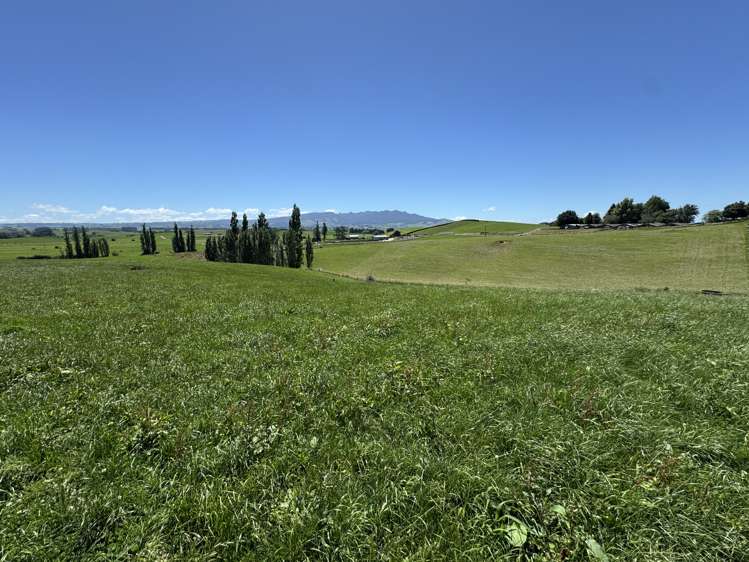 Lot 4 Pokuru Road Rd 3 Te Awamutu_7