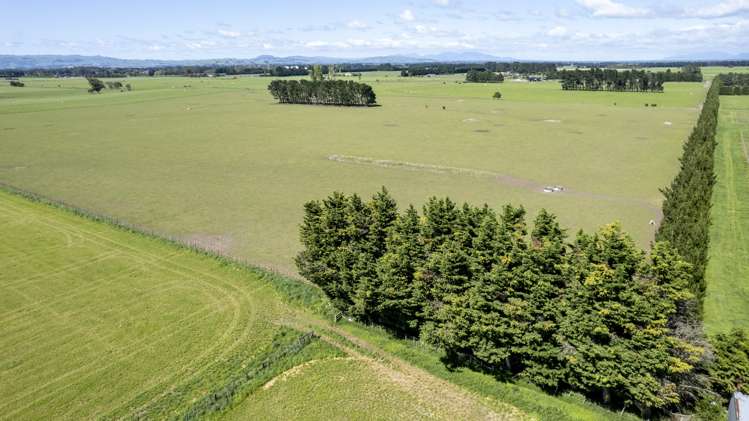 174 Wiltons Road Carterton_21