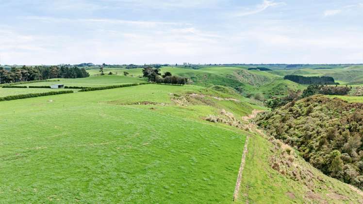 76 Hunts Road Mokoia_18