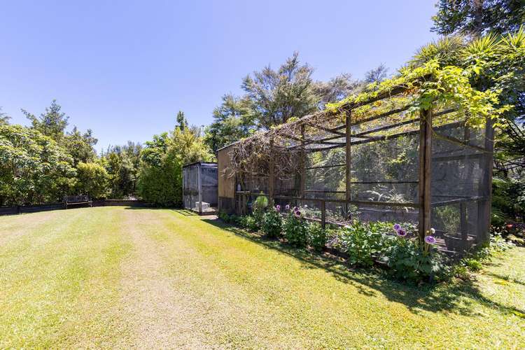 184 Hikuai School Road, Hikuai Tairua_14