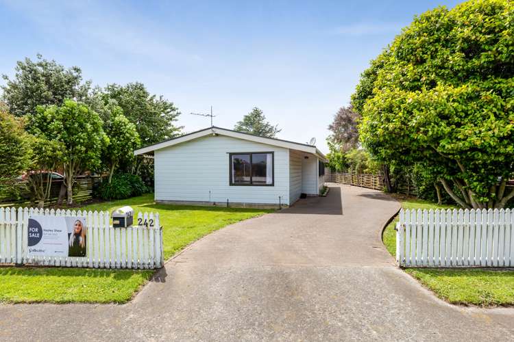 242 Waihi Road Hawera_19
