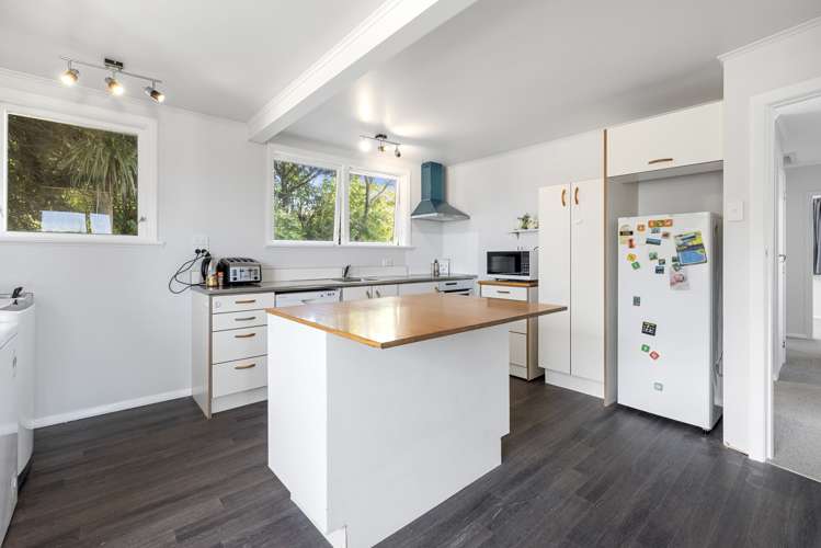 24 Mahoe Street Levin_11